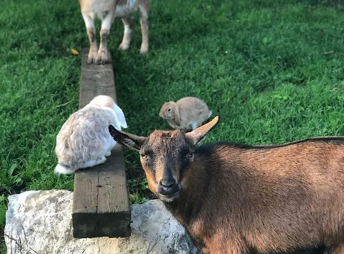 Schwarzenbergerhof Casa de hóspedes